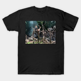 Birds in heaven T-Shirt